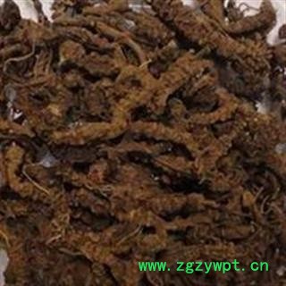 煜庭药业 缬草 光缬草 拔地麻 小救驾 鹿子草 臭草 毛缬草 正品图2
