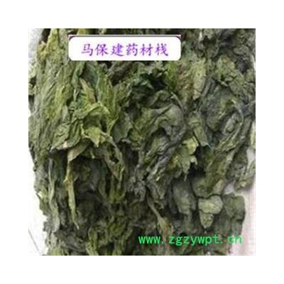 昆布 统货 产地 山东省