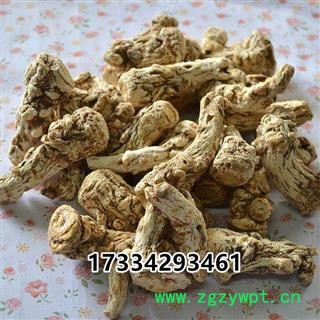 当归头 当归 中药材 甘肃岷县农家当归图2