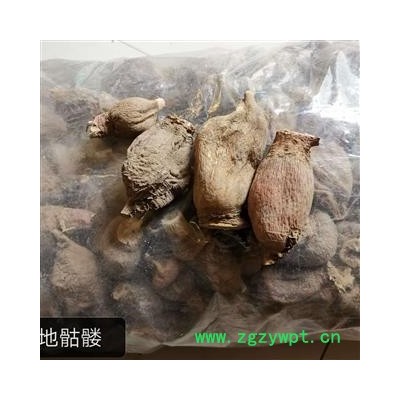 地骷髅 红萝卜 仙人头 仙人骨 出子萝卜 老萝卜头 老人头 地枯萝 气萝卜 枯萝卜 空莱菔 老萝卜