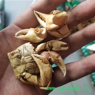 方海 螃蟹壳 螃蟹干 方蟹图4