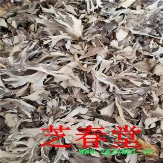 芝春堂 批发中药材 灰树花 干灰树花 食用菌 新货上市 大货供应图3