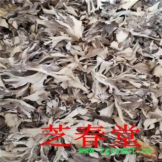 芝春堂 批发中药材 灰树花 干灰树花 食用菌 新货上市 大货供应图4