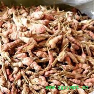 批发优质新货竹花 竹黄 竹红菌 干净无杂质泡酒料淡竹花 产地直销图4