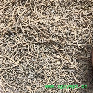 瑞森药材行玉簪花根 新货玉簪花根 白玉簪花根图2
