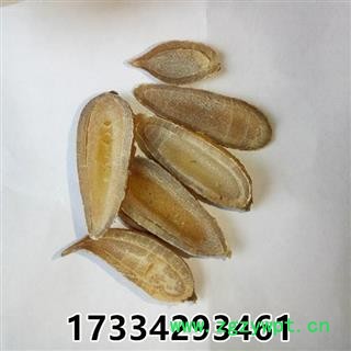 中药材郁金 选片马蒁 黄郁金香 郁金粉玉金图2