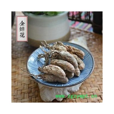 金蝉花 干货 大虫草 蝉蛹草 知了花 蝉茸