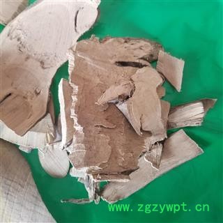 毛冬青根 地下 乌尾丁 六月霜 细叶冬青 细叶青 苦田螺 山桐油 山冬青 毛披树 茶叶冬青图2