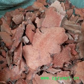 诺源药材行菝葜   金刚刺 金刚藤 乌鱼刺 铁菱角图2