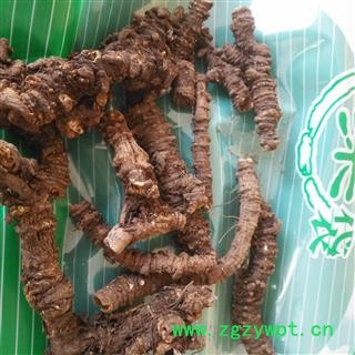 诺源药材行优质正品野生羌活 川羌活 手选新货图3