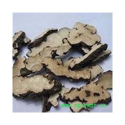 吉康药业猪苓片猪屎苓 野猪粪  猪屎苓 鸡屎苓