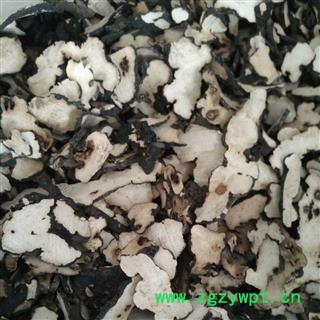 猪苓 统片 产地 山西省 国药堂 专注品质图4