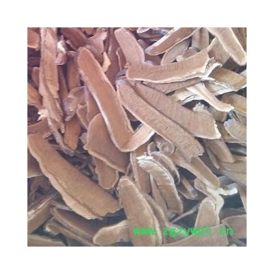 灵芝 灵芝片统片 产地 吉林省