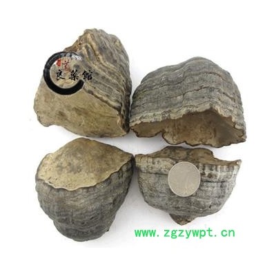 灵芝 野生木蹄层孔菌 野生灵芝 药典标准 地道良药馆1000克直销 品种齐全 一站购齐