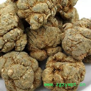 安祁名药三七 水洗20头 产地 云南省图2