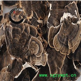 灵芝 野生云芝 野生灵芝 药典标准 地道良药馆1000克直销 品种齐全 一站购齐图3