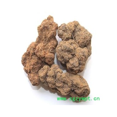 煜庭药业 朱砂根 辟虺雷、辟蛇雷、透水雷、辟水雷、雷见怕、牛血莲、躲蛇生、避蛇生 朱砂莲