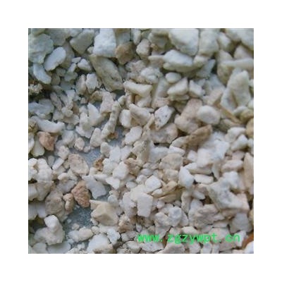 茯苓 茯苓小白粒 产地 安徽省