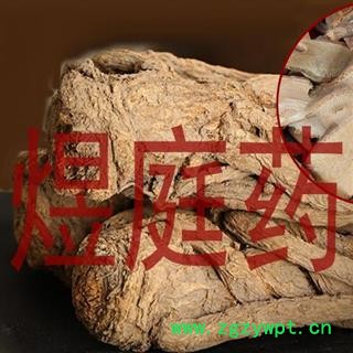 煜庭药业 当归 当归藤图3