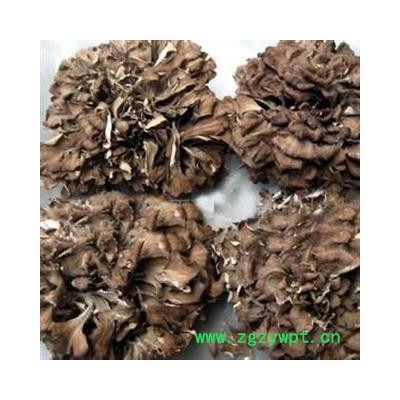 小丽百草行灰树花 舞茸 统碎花 155；选 195产地 吉林