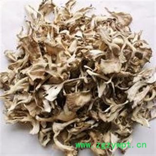 小丽百草行灰树花 舞茸 统碎花 155；选 195产地 吉林图2