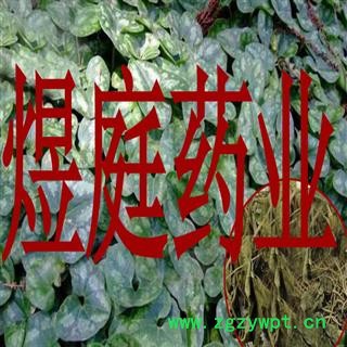 煜庭药业 细辛叶 辽细辛 统货 无土无杂图4