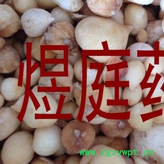 煜庭药业 光慈姑 野生 正品图3