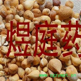 煜庭药业 光慈姑 野生 正品图4