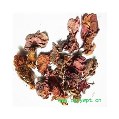 煜庭药业 山胡椒根 红天葵 野生 紫背天葵、红叶、散血子、龙虎叶、夜渡红、红水葵正品 促销