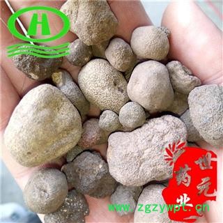 世元药业 雷丸 正品 竹苓 雷实 竹铃芝图2