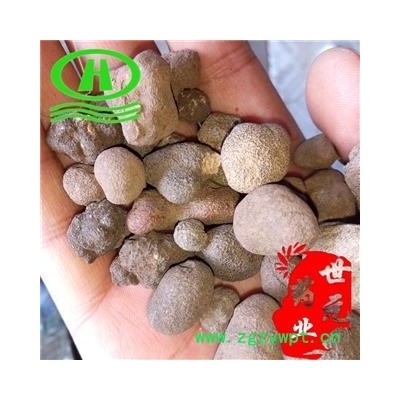 世元药业 雷丸 正品 竹苓 雷实 竹铃芝