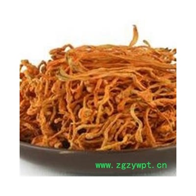 世元药业 金虫草 正品统货 北虫草花 排草 大孢子头 批发专营 蛹虫草