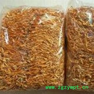 世元药业 金虫草 正品统货 北虫草花 排草 大孢子头 批发专营 蛹虫草图2