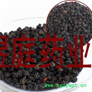 煜庭药业 刺五加子 刺五加籽 野生 正品图4