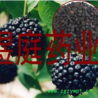 煜庭药业 刺五加子 刺五加籽 野生 正品图2