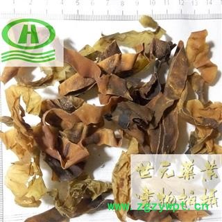 世元药业 昆布 水洗 正品 黑菜 鹅掌菜 五掌菜图2