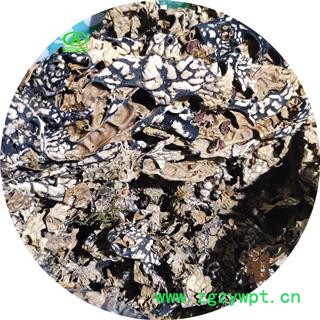 世元药业 老龙皮 天然野生 网肺衣 老龙七 石龙皮 石龙衣图2