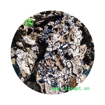 世元药业 老龙皮 天然野生 网肺衣 老龙七 石龙皮 石龙衣