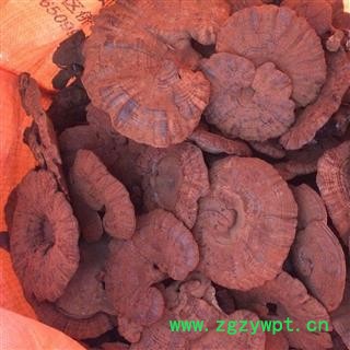 广西壮乡中草药 带孢子粉 灵芝 整枝灵芝 长柄 香浓而不苦 产地 广西柳州图4