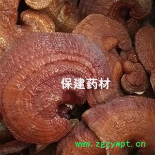 灵芝 灵芝个子 产地直销 质量好 吉林省图2