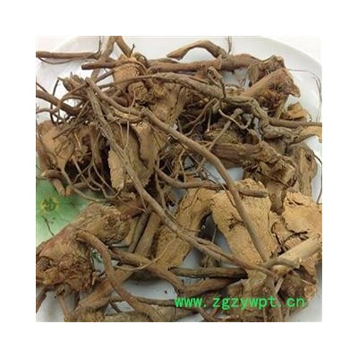 煜庭药业   蛇泡簕 大叶蛇泡簕