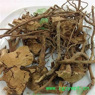 煜庭药业   蛇泡簕 大叶蛇泡簕图2