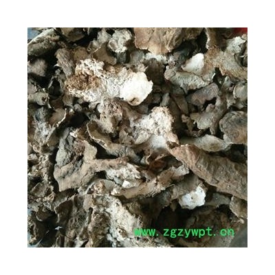 茯苓皮 统货 产地 安徽省