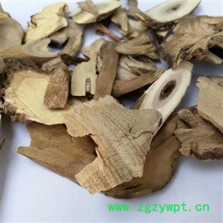 瑞森药材行当归藤 大力王 筛其蔃 虎尾草 土当归图3