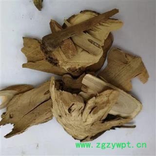 瑞森药材行当归藤 大力王 筛其蔃 虎尾草 土当归图2