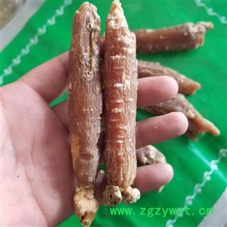 红参 低糖 15支 每支30g以上图4