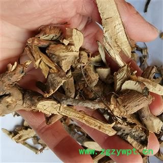 瑞森药材行刺梨根纯根 刺梨根 新货图3