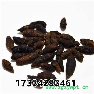 香附 香附 香附子 香头草 熟香附  中药材图4