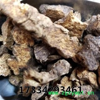 苍术 河北 承德大片朱砂点图3