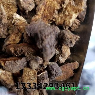 苍术 河北 承德大片朱砂点图2